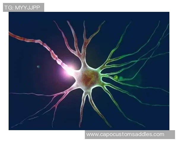 上海网球队心理素质引发热议球员表现与心理承受能力的深度探讨