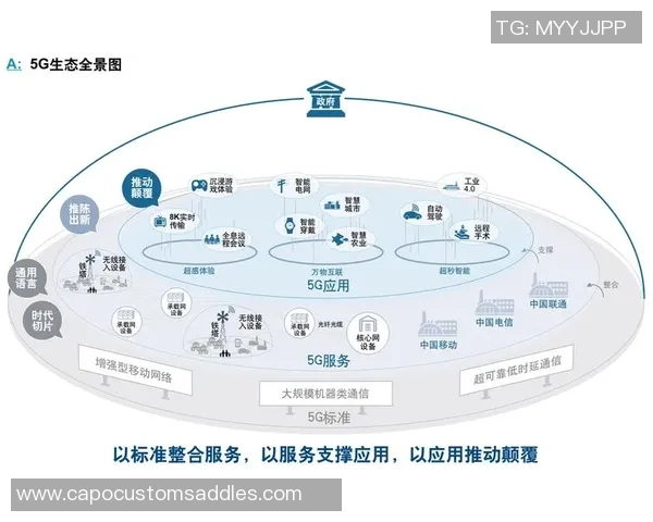 西安篮球队技术分析与表现评估全景解读