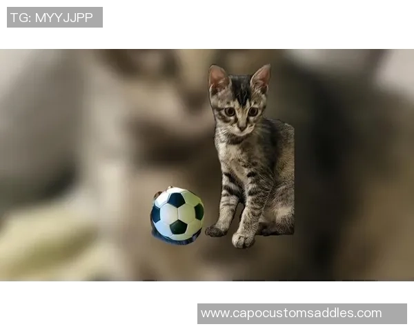 足球明星们的宠物选择揭秘:他们更爱狗还是猫的背后故事 足球明星们的宠物选择揭秘:他们更爱狗还是猫的背后故事