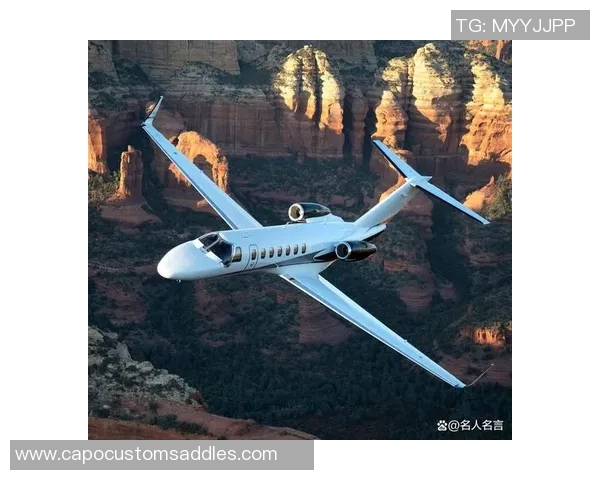 足球明星的私人飞机揭秘奢华生活与飞行背后的故事 足球明星的私人飞机揭秘奢华生活与飞行背后的故事