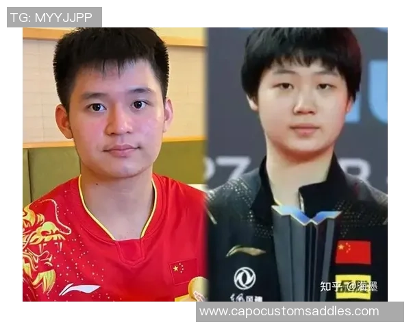 欧锦赛点评：成都乒乓球队的耐力表现