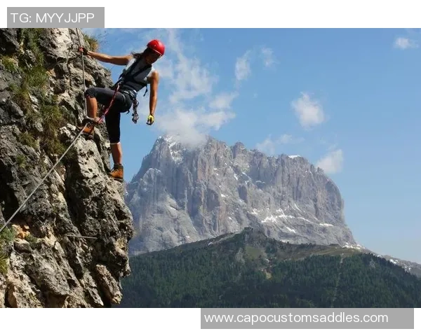 攀岩个人能力排行榜:深圳攀岩队位居第3名 攀岩个人能力排行榜:深圳攀岩队位居第3名