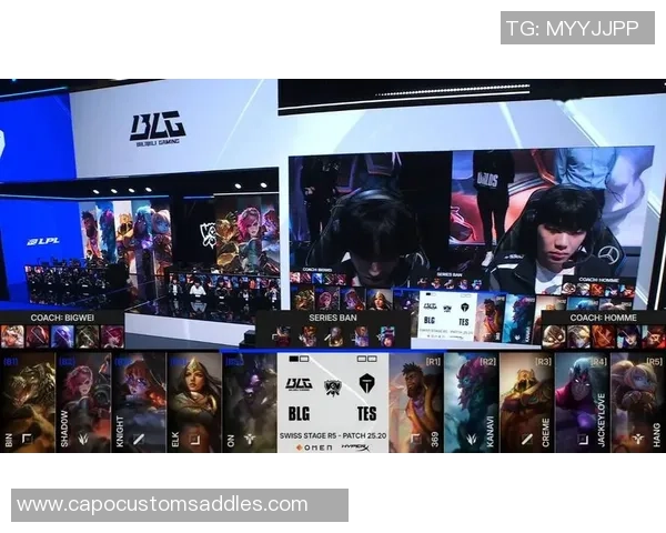 Major赛特别报道：TES的成长故事_1