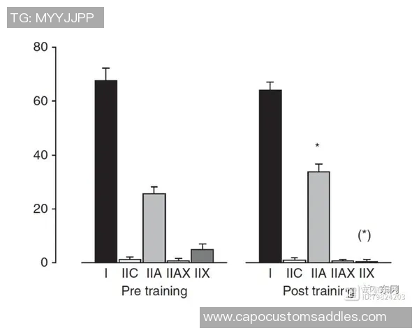 数据分析：V5的耐力表现