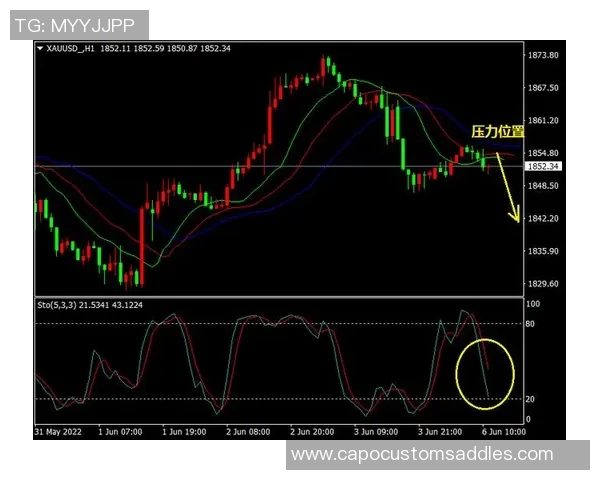 独家分析:成都网球队的耐力对比