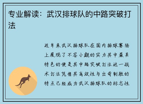 专业解读：武汉排球队的中路突破打法