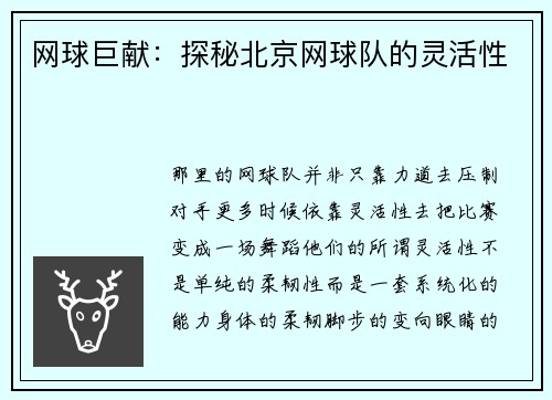 网球巨献：探秘北京网球队的灵活性