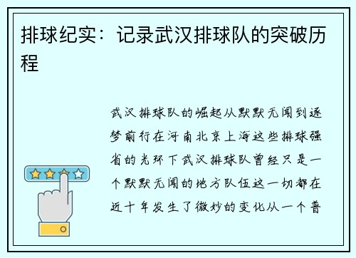 排球纪实：记录武汉排球队的突破历程